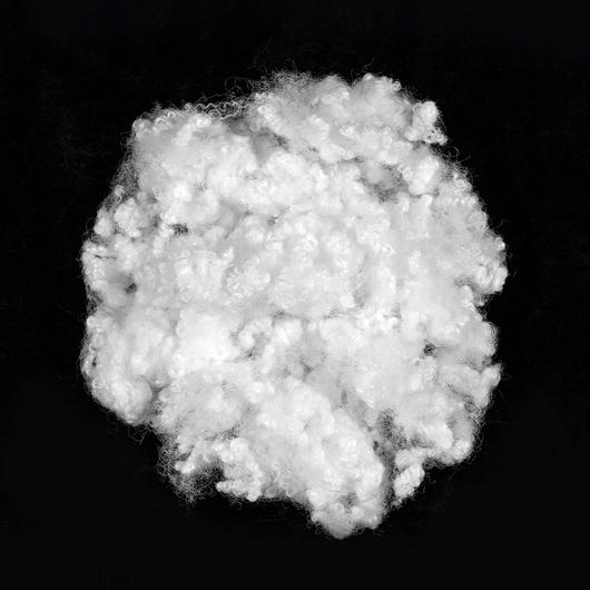 15D*64MM HC Polyester Stapula Fiber